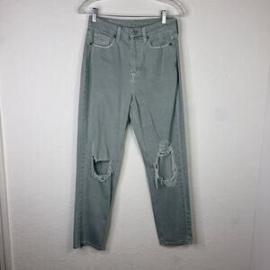 American Eagle Mom Straight Jean Green Size 4 Regular, casual, distressed, basic